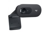 Logitech Webcam c505E 1280*720 Negro