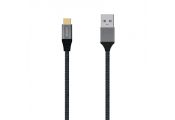 Aisens Cable USB 3.1 Gen2 Alu 3A CM-AM Gris 2.0M