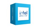 Intel 300 Dual Core 3.9GHz LGA 1700 BOX