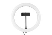iggual Anillo / aro de luz LED dimetro 10" 26 cm
