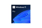 Microsoft Windows 11 Pro 64b  Es OEM DVD