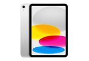 Apple IPAD WI-FI CELL 256GB SILVER