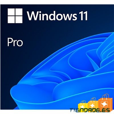 Microsoft Windows 11 Pro 64b  ESD