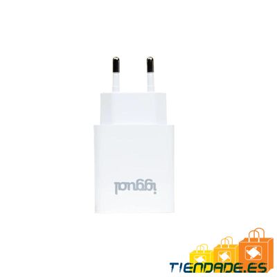 iggual Cargador rpido de pared USB PD tipo C 30W