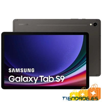 Samsung Galaxy TAB S9 12Gb 256Gb Wifi Gray